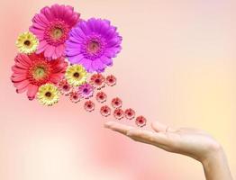 kvinnans hand med blommor foto