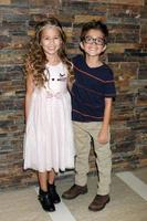 los angeles, 8 aug - brooklyn rae silzer, nicolas bechtel på generalsjukhuset fanklubb lunch ankomster till Embassy Suites Hotel den 8 augusti 2015 i Glendale, ca. foto