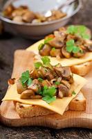 rostat brödsmörgås med svamp, ost och persilja, selektiv fokus foto
