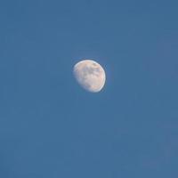 moon timelapse, stock time lapse fullmåneuppgång i mörk natur himmel, nattetid. fullmåneskiva time lapse med månen lyser upp i natten mörk svart himmel. högkvalitativa gratis videofilmer eller timelapse foto