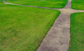 grönt gräsfält med linjemönster textur bakgrund och gångväg foto