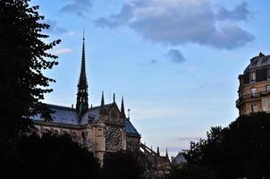 katedralen i Notre Dame i Paris, Frankrike. foto