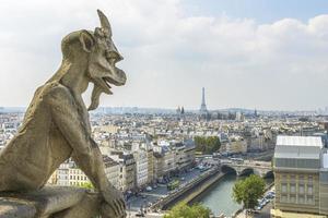 Flygfoto över Paris från Notre-Dame foto