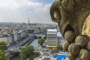 Flygfoto över Paris från Notre-Dame foto
