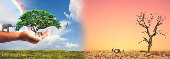 begreppet miljövård och globala klimatförändringar. bild som jämför torra områden med grönområden. foto