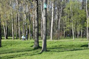 parkera i staden, vila i stadsmiljön promenad foto