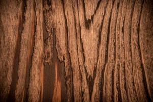 trä textur