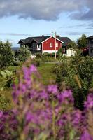 norvegia isole lofoten foto