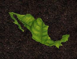 Mexiko karta gjord av gröna löv på jord bakgrund ekologi koncept foto