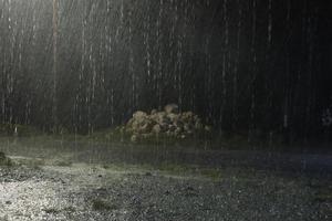 regn på natten. mörk bakgrundsbild av regn som faller foto