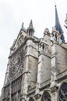 notre dame - paris närbild foto