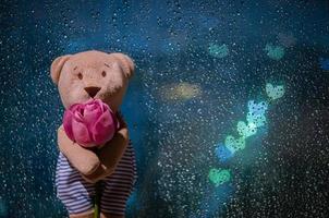 nallebjörn står med en ros vid fönstret när det regnar med färgglada kärleksformade bokeh-ljus. foto