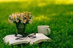 fritid på morgonen i trädgården med kaffe, bok och blommor på gräsmattan. foto