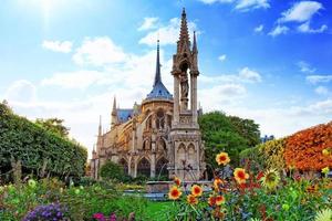 notre dame de paris katedral, trädgård med blommor. paris. Frankrike