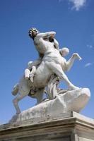 paris - centaur från tuileries garden foto