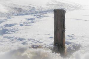 trästolpe i snön foto