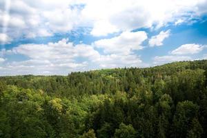 skogslandskap med blå himmel foto