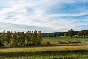 naturskönt sommarlandskap med gröna fält foto