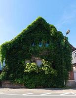 ett gammalt hus täckt med murgröna foto