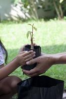 hand av dotter och far som håller plantor i svart plastpåse för att hjälpa varandra att plantera träd i trädgården på helgdagar. foto