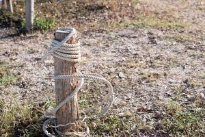 vitt rep bundet med bruten stubbe på marken foto