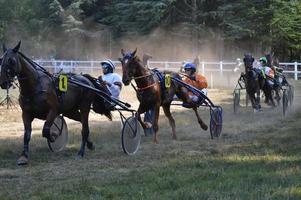 hästkapplöpningsbana 11 augusti 2019 sault, Frankrike foto