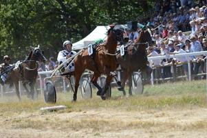 hästkapplöpningsbana augusti 08.2017 sault, Frankrike foto