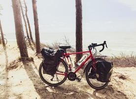 cykel stående på sidovägen i picknickområde omgiven av sommargrönska i litauens landsbygd. cykelresor i baltiska landet. foto