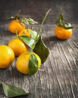 färska mandariner