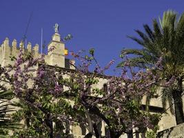 palma de mallorca i spanien foto