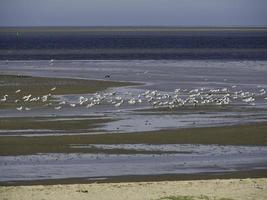 esbjerg i danmark foto