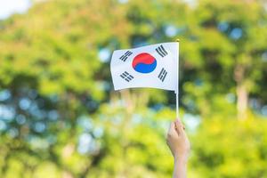 hand som håller korea flaggan på natur bakgrund. national foundation, gaecheonjeol, allmän nationshelgdag, Koreas nationella befrielsedag och glada firandekoncept foto