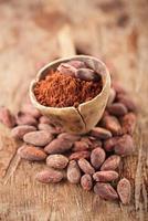 kakaopulver i sked på rostade kakaoschokladbönor