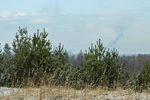 tidigt vårlandskap med en vacker sjö med granar och sista snön mot en molnig himmel foto