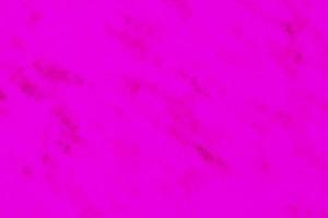 rosa bakgrund. grunge målad yta foto