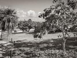 forntida tulumruiner Mayan plats tempelpyramider artefakter havslandskap mexico. foto