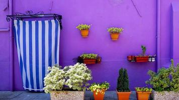 burano lila väggfärg hus foto