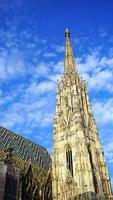detaljer om st. Stephansdomen i Wien foto