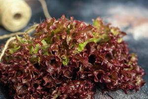 blad av grön och röd sallad. vårskörd, fördelar och vitaminer. på en mörk bakgrund. foto
