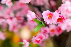 konstgjorda körsbärsblomningsträd dekorerad i evenemangsfest foto