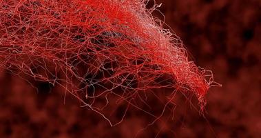 system många små kapillärer förgrenar sig ur det stora blodkärlet foto