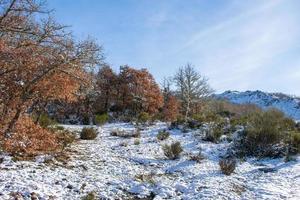 landskap med snöig dal i bergen foto