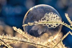 såpbubbla som det har bildats iskristaller på på grund av frosten. i ljuset av den nedgående solen. foto