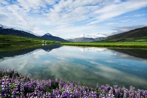 pittoresk landskap med grön natur på Island under sommaren. bild med en mycket tyst och oskyldig natur. foto