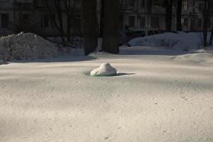 rabatt i parken är täckt med snö. parkera på vintern. foto