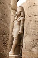 skulptur i luxor tempel i luxor, egypten foto