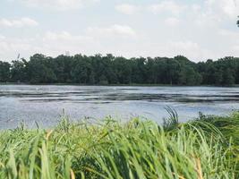 kleiner dutzendteich sjön i nuernberg foto