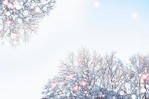 frusen vinterskog med snötäckta träd. foto