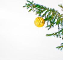 god Jul och Gott Nytt År. snötäckta träd. foto