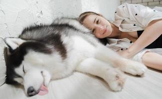 sovande alaskan malamute stor hund och ung kvinna liggande på golvet. vacker flicka älskar husdjur. porträtt av kvinnlig ägare och bedårande malamute glad nära vän, tillsammans ha kul hemma i sängkammaren. foto